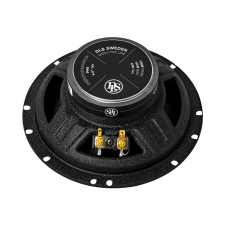 DLS PA6 3 Ohm