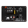 DL Audio Piranha 12A SE