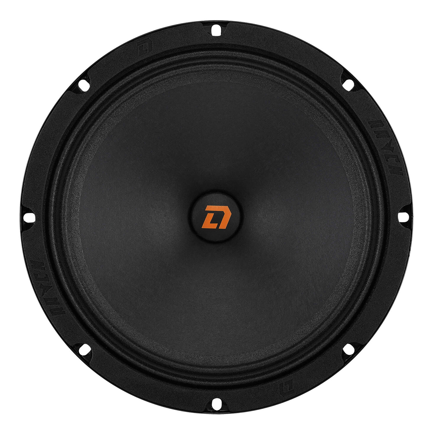 DL Audio  Raven 200 v.2