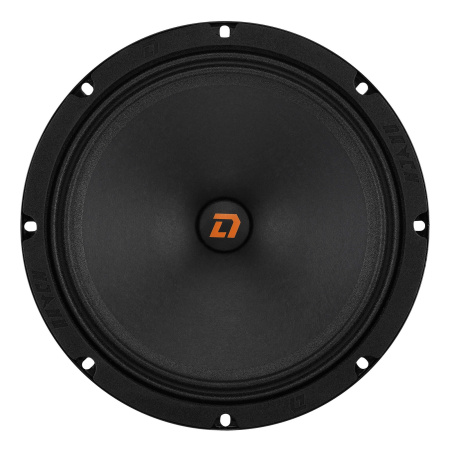 DL Audio  Raven 200 v.2