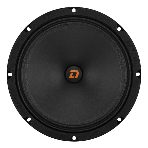 DL Audio  Raven 200 v.2