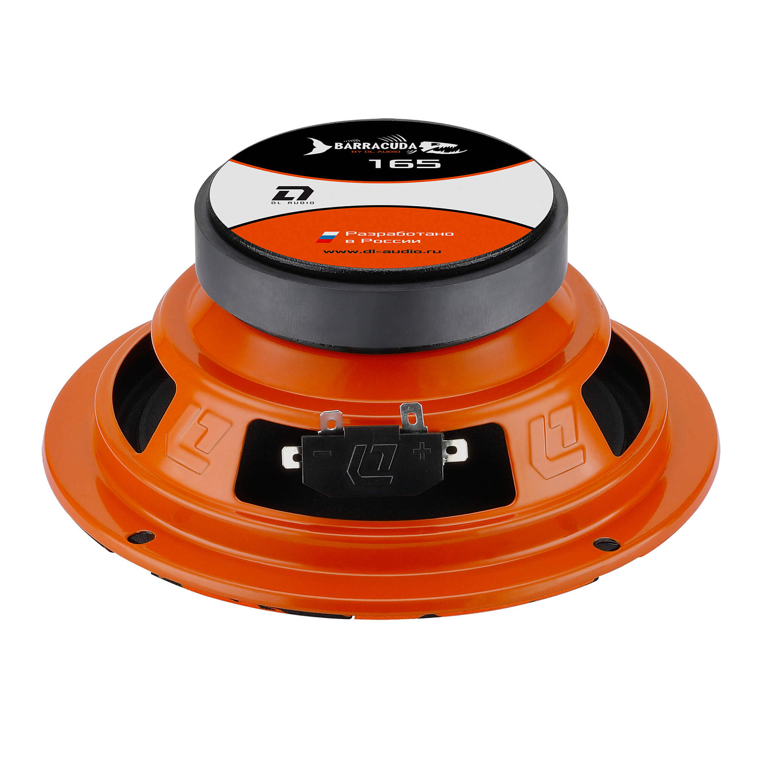 DL Audio Barracuda 165