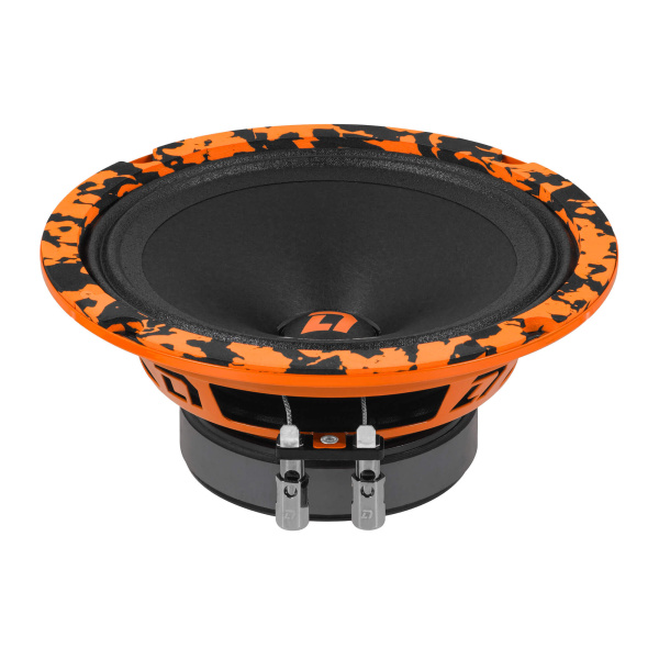 DL Audio Barracuda 165 V.2