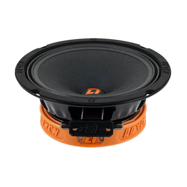 DL Audio Raven 165 v.2