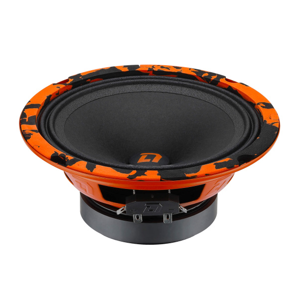 DL Audio Barracuda 165